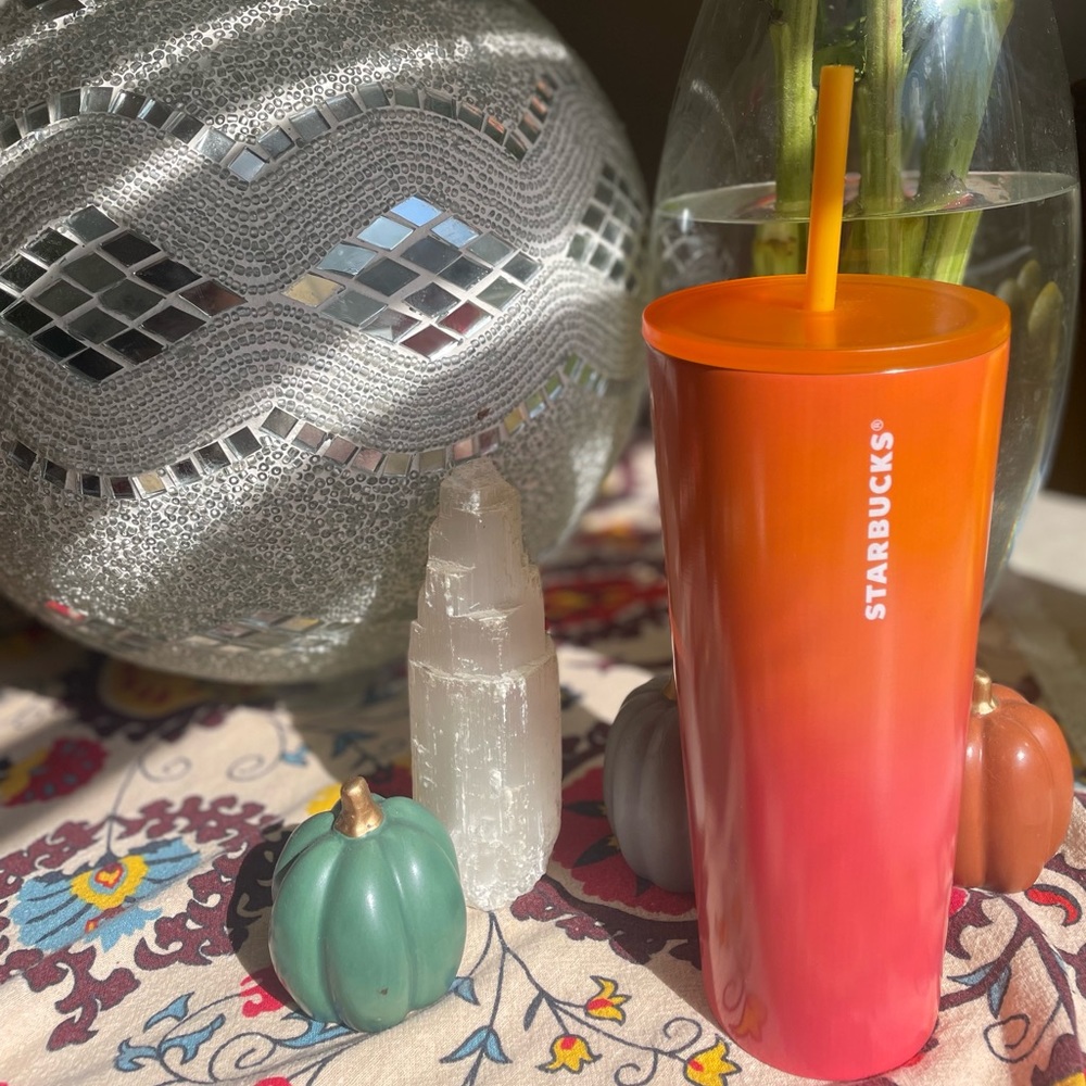 Starbucks Venti Stainless Collectible Cup